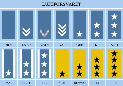 Luftforsvarets distinksjoner